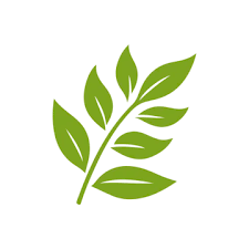 back.restauraintegral.com.br - Naturopatia